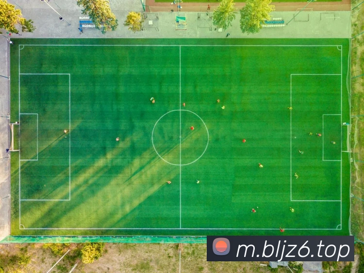 尊龙z6·官网APP 体育赛事宣传图